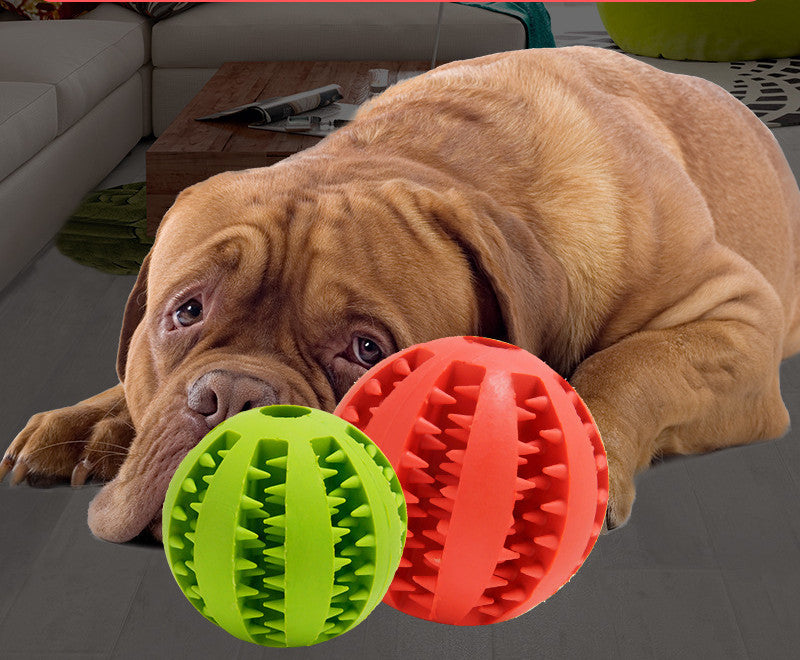 Interactive Pet Toys