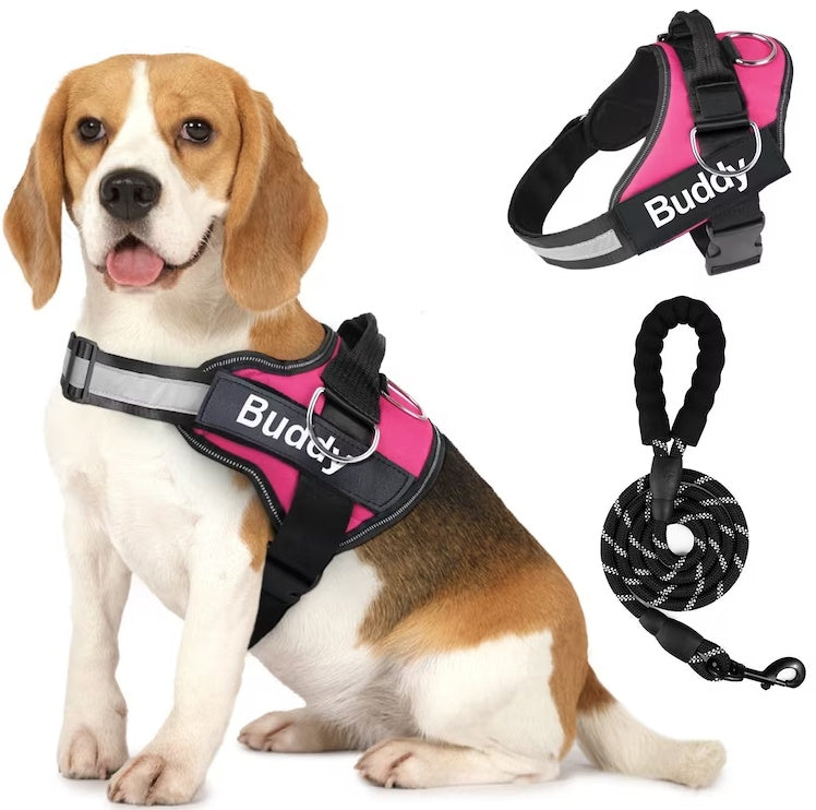 Pet Clothing Dog Couple Chest Strap Rope